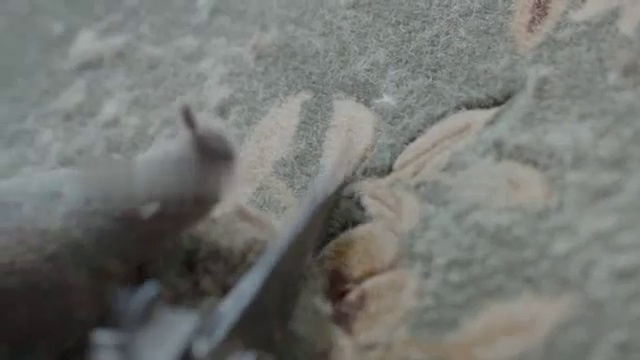纺织纤维细节